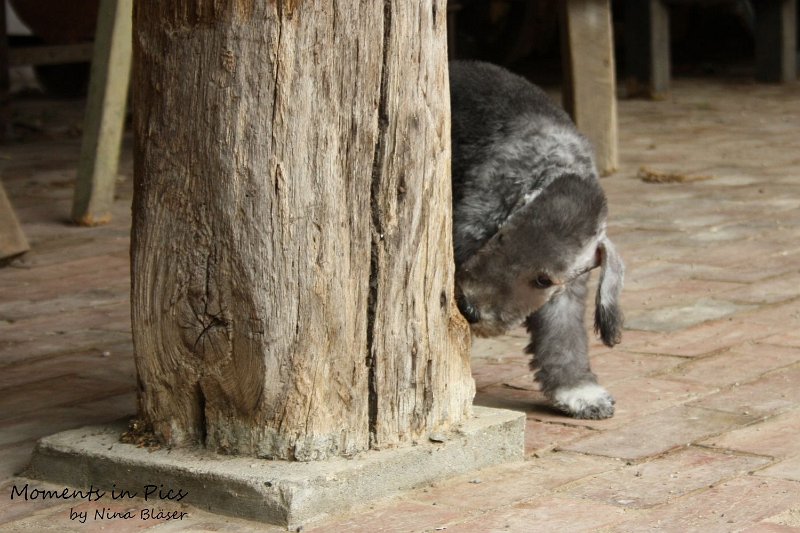 Antares 2009-08-01 & 02 (24).JPG